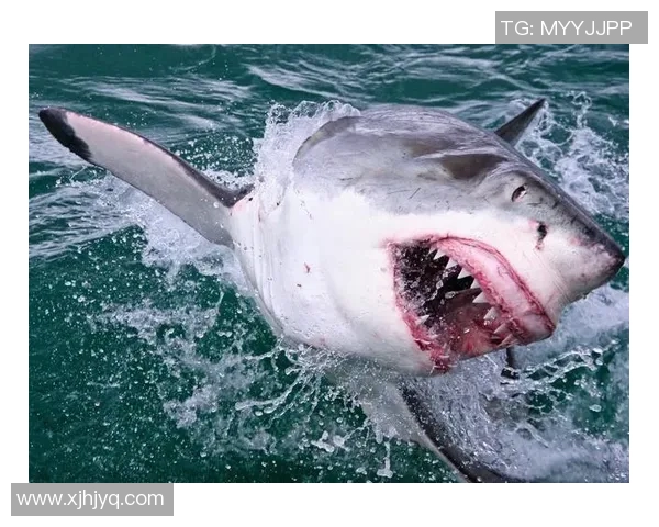 足球球星因判罚不满怒不可遏表情扭曲瞬间被捕捉瞬间的生气反应