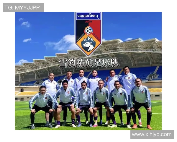 青海球星足球引领高原激情发展推动地方体育事业全面升级